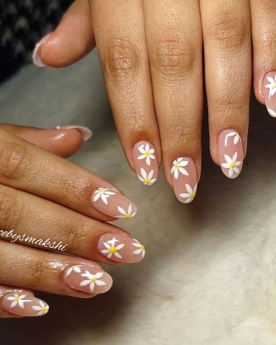 white daisies on sheer base short nails