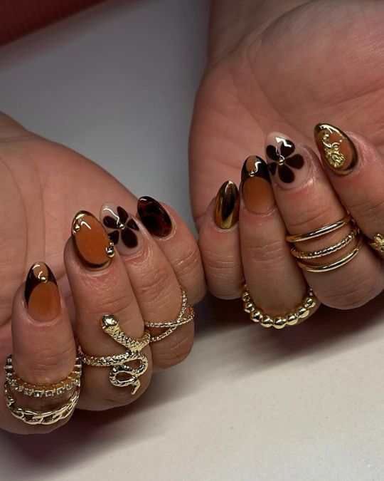 Tortoise Shell Treasure
