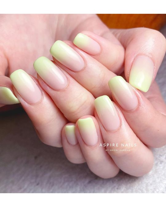Soft Lime Ombre Glow